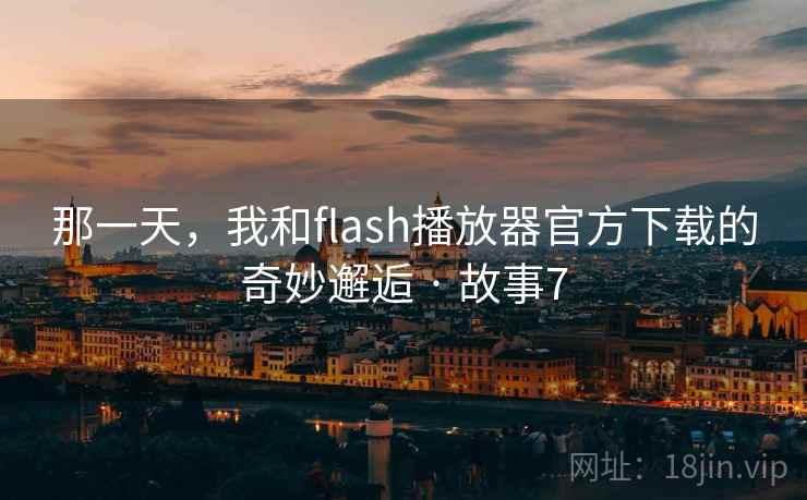 那一天，我和flash播放器官方下载的奇妙邂逅 · 故事7  第2张