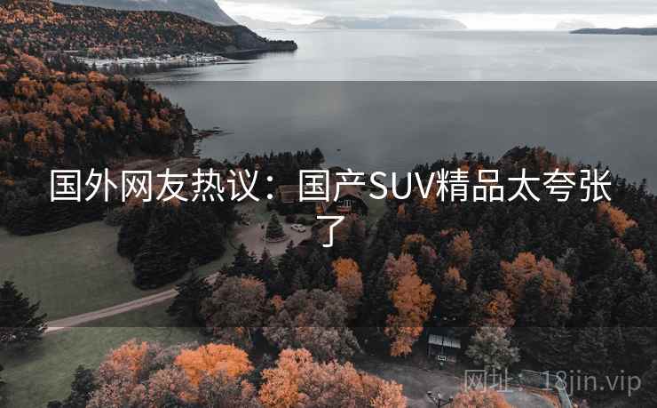 国外网友热议：国产SUV精品太夸张了